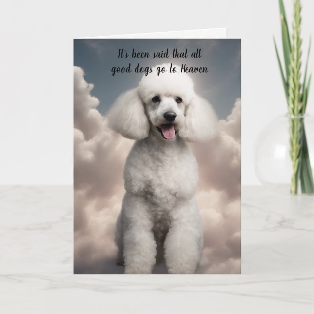 Cartes Pour Fêtes Annuelles Perte de caniche blanc Chien Ciel Sympathie (Devant)