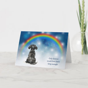 Cartes Pour Fêtes Annuelles Perte de sympathie pour chien teckel noir Lumières