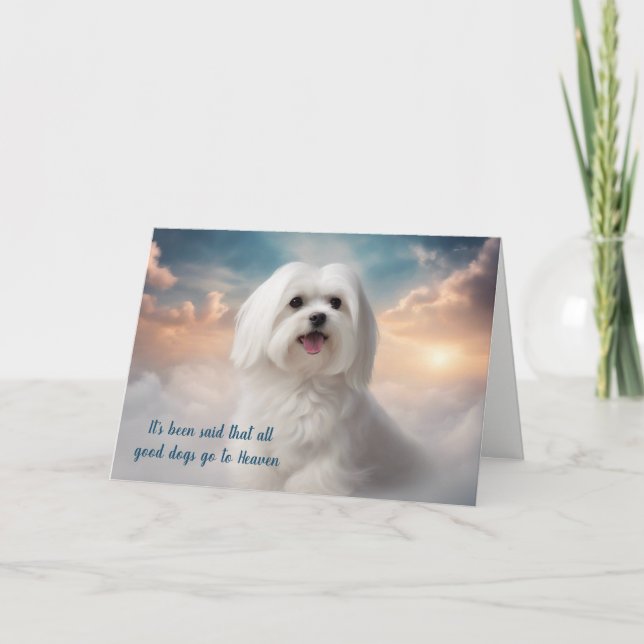Cartes Pour Fêtes Annuelles Perte du paradis des chiens maltais Sympathie (Devant)