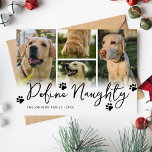 Cartes Pour Fêtes Annuelles Pet Définir Naughty Multi Photo Noël<br><div class="desc">Prenez le temps cette année de créer une carte de Noël familiale amusante. Doté d'un minimaliste arrière - plan blanc, l'humoristique disant 'définir vilain', empreintes de pattes, un 4-modèle photo qui vous permet de remplacer les photos du labrador par vos propres souvenirs spéciaux, votre nom de famille et votre année....</div>
