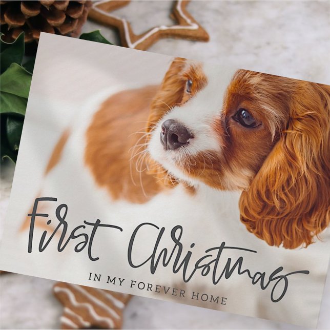 Cartes Pour Fêtes Annuelles Pet First Christmas à Forever Accueil Photo (Créateur téléchargé)