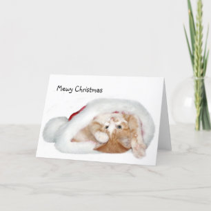 Cartes Pour Fêtes Annuelles Petit chaton de Noël
