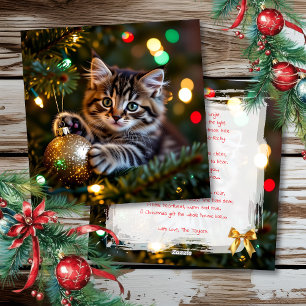Cartes Pour Fêtes Annuelles Petit chaton sur l'arbre de Noël personnalisé