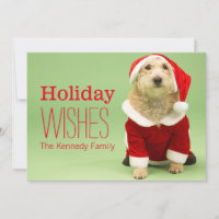 Petit Chien En Costume Père Noël