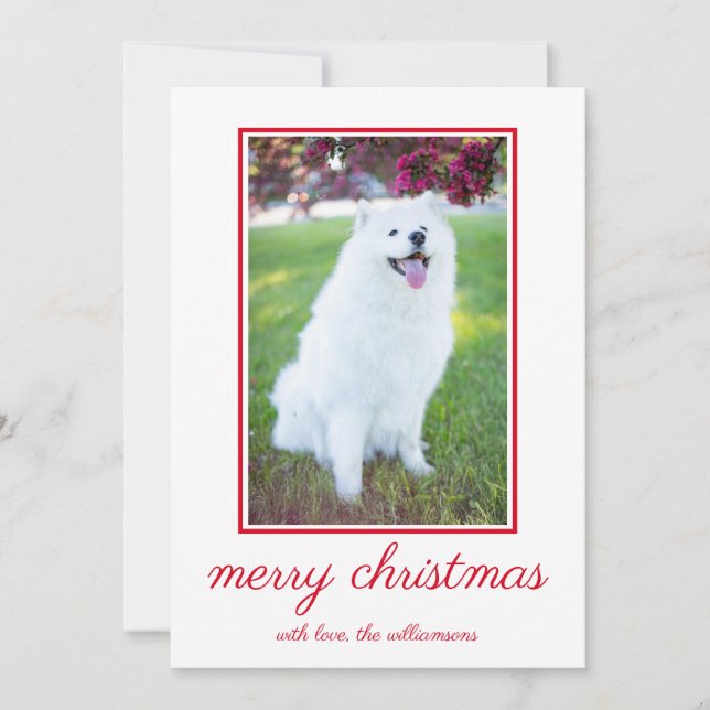Cartes Pour Fêtes Annuelles Petit chien photo simple Noël (Devant)
