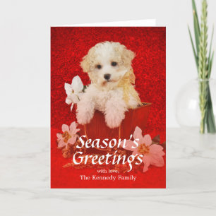 Cartes Pour Fêtes Annuelles Petit chiot doux de Noël se reposant dans le