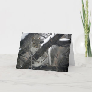 Cartes Pour Fêtes Annuelles Petit espion poilu