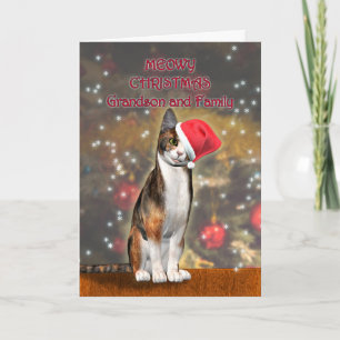 Cartes Pour Fêtes Annuelles Petit-fils et famille, un chat dans un casquette d