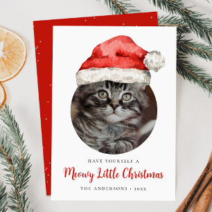 Cartes Pour Fêtes Annuelles Petit Noël Miaou Chapeau de Père Noël Photo de Cha