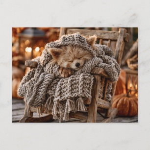 Cartes Pour Fêtes Annuelles Petit panda roux mignon endormi dans une miniature