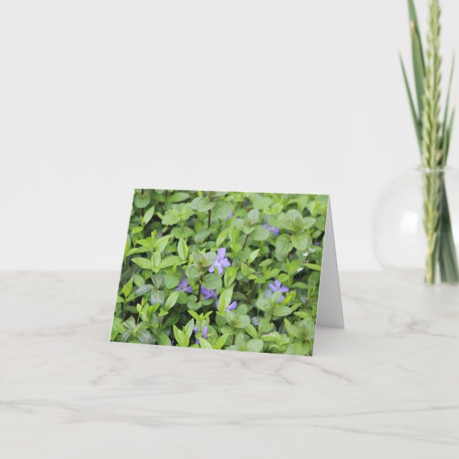 Cartes Pour Fêtes Annuelles Petites fleurs et feuilles violettes (Devant)