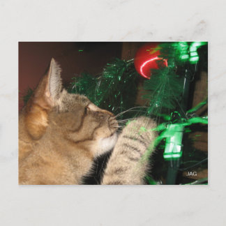 Cartes Pour Fêtes Annuelles Phat Cat et l'arbre de Noël