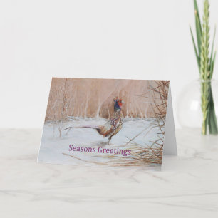 Cartes Pour Fêtes Annuelles Pheasant dans la neige Saisons Greeting Art