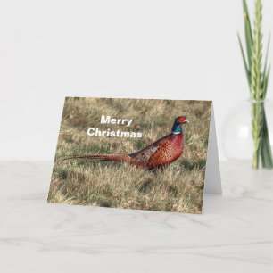 Cartes Pour Fêtes Annuelles Pheasant Photo Noël