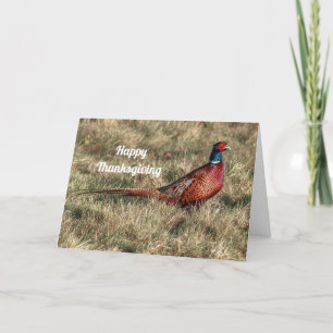 Cartes Pour Fêtes Annuelles Pheasant Photo Thanksgiving