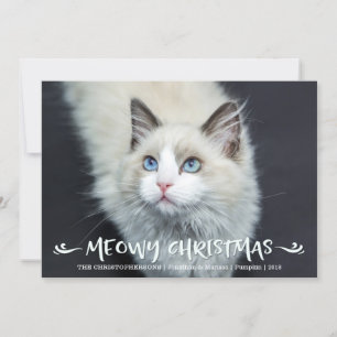 Cartes Pour Fêtes Annuelles Photo Cat Meowy Christmas