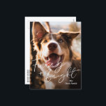 Cartes Pour Fêtes Annuelles Photo Chien mignon Noël moderne<br><div class="desc">Carte postale moderne de Noël photo avec un design simple et minimal avec l'accueil mignon "Furry and Bright" dans un script élégant sur une photo de votre chien de compagnie. Le dos a une deuxième photo avec votre message personnalisé en noir et blanc.</div>