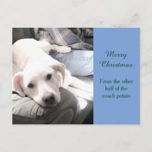 Cartes Pour Fêtes Annuelles Photo Cute Lazy Labrador Mix and Dad Light Blue