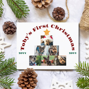 Cartes Pour Fêtes Annuelles Photo d'arbre de Noël du premier Noël de chien, an