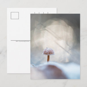 Cartes Pour Fêtes Annuelles Photo de champignons congelés