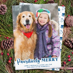 Cartes Pour Fêtes Annuelles Photo de chat de chien de chien personnalisé moder<br><div class="desc">Voici notre nouvelle ligne de cartes de fin de année, parfait pour les familles avec des amis en colère ! Notre collection "Pawsitly Joyeux" présente une variété de designs amusants et festifs qui mettent en valeur vos animaux de compagnie bien-aimés de façon mignonne et ludique. Que vous ayez un chien...</div>