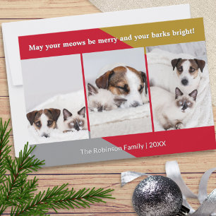 Cartes Pour Fêtes Annuelles Photo de chat de chien moderne Humour animal Noël