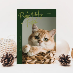 Cartes Pour Fêtes Annuelles Photo de chat de fête de Noël vert