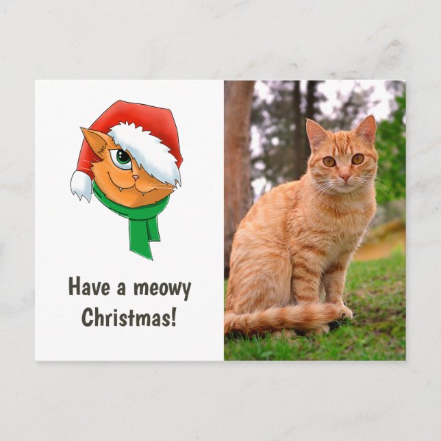 Cartes Pour Fêtes Annuelles Photo de chat de Noël (Devant)