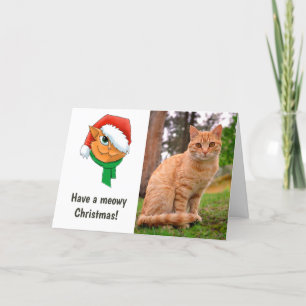 Cartes Pour Fêtes Annuelles Photo de chat de Noël