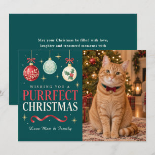 Cartes Pour Fêtes Annuelles Photo de chat de Noël parfaite