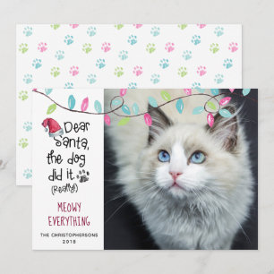 Cartes Pour Fêtes Annuelles Photo de chat drôle DEAR SANTA lumières