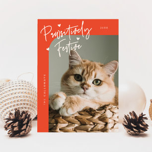 Cartes Pour Fêtes Annuelles Photo de chat festif de façon pédestre Noël rouge