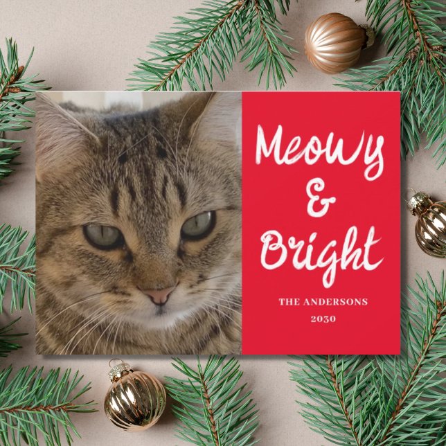 Cartes Pour Fêtes Annuelles Photo de chat Meowy et Noël brillant (Créateur téléchargé)