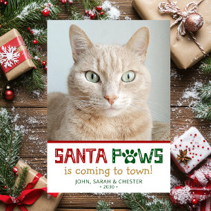 Cartes Pour Fêtes Annuelles Photo de chat Santa Paws