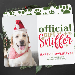 Cartes Pour Fêtes Annuelles Photo de Chien de Noël Customisée Funny Photo