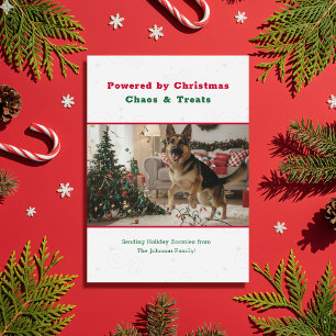 Cartes Pour Fêtes Annuelles Photo de chien de Noël humoristique vintage