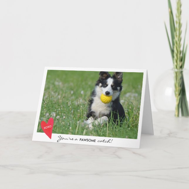 Cartes Pour Fêtes Annuelles Photo de chien de Saint-Valentin vous êtes un (Devant)