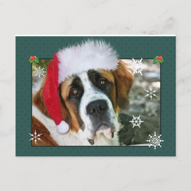 Cartes Pour Fêtes Annuelles Photo de chien de St Bernard de Noël (Devant)