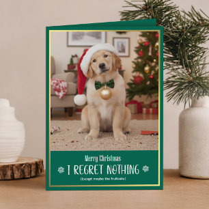 Cartes Pour Fêtes Annuelles Photo de chien drôle avec chapeau de Père Noël Noë