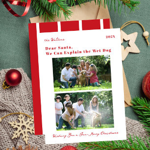 Cartes Pour Fêtes Annuelles Photo de chien drôle avec rayures rouges pour Noël