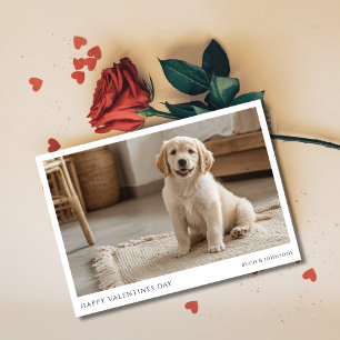 Cartes Pour Fêtes Annuelles Photo de chien drôle de Golden Retriever pour la S