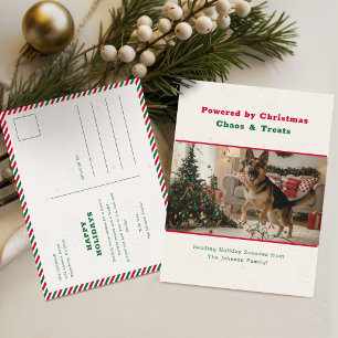 Cartes Pour Fêtes Annuelles Photo de chien drôle et humoristique pour Noël