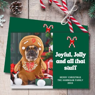 Cartes Pour Fêtes Annuelles Photo de chien drôle et mignon pour Noël