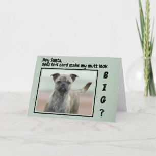 Cartes Pour Fêtes Annuelles Photo de chien drôle métis Noël