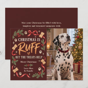 Cartes Pour Fêtes Annuelles Photo de chien drôle pour Noël