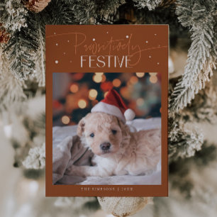 Cartes Pour Fêtes Annuelles Photo de chien festif en terre cuite
