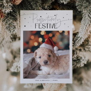 Cartes Pour Fêtes Annuelles Photo de chien festif Pawsitively Noël sur fond bl