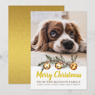 Cartes Pour Fêtes Annuelles Photo de chien Joyeux Noël Nom de famille Gold Foi