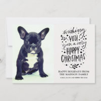 Photo de chien mignon Noël