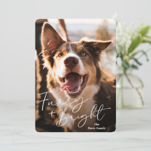 Cartes Pour Fêtes Annuelles Photo de chien mignon Noël moderne